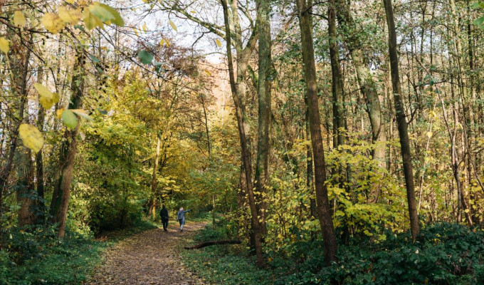 Rahmer Wald