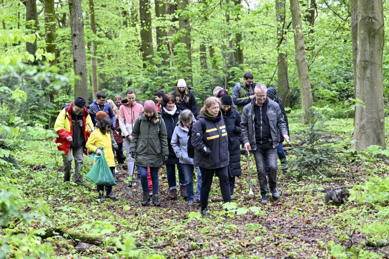 Teilnehmende des Waldspaziergangs 2024 im Rahmer Wald