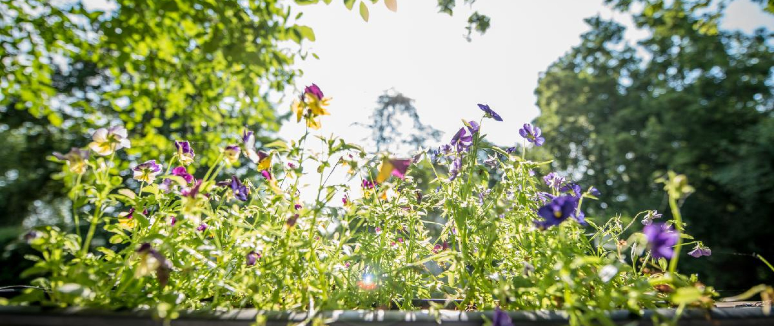 Gartennetzwerk Westerfilde & Bodelschwingh