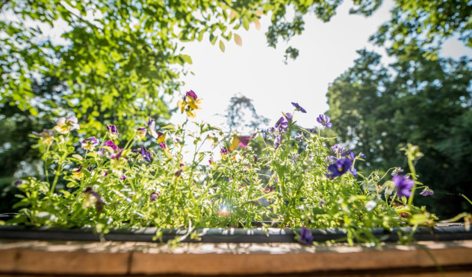 Gartennetzwerk Westerfilde & Bodelschwingh
